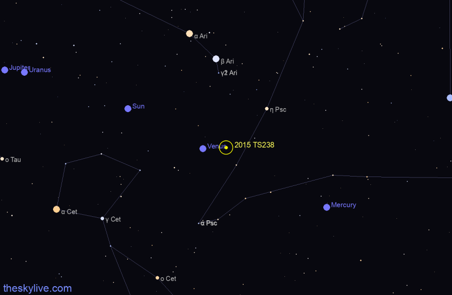 Finder chart of 2015 TS238 in Capricornus on February,22 2024