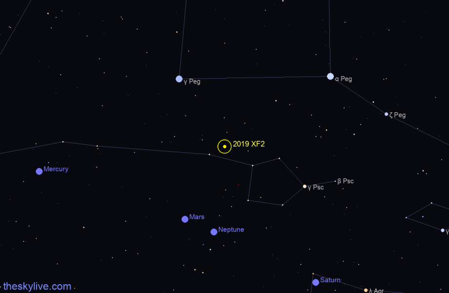 Finder chart of 2019 XF2 in Sagittarius on February,23 2024