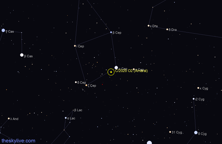 Finder chart of C/2020 O2 (Amaral) in Cepheus on April,25 2024
