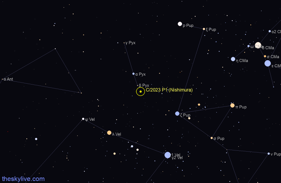 Finder chart of C/2023 P1 (Nishimura) in Vela on April,27 2024
