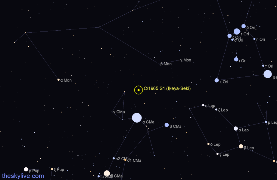 Finder chart of C/1965 S1 (Ikeya-Seki) in Canis Majoris on January,24 2022