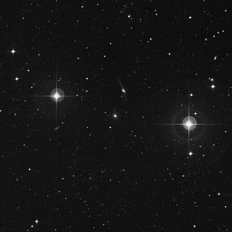 Image of IC 19 - Elliptical Galaxy in Cetus star