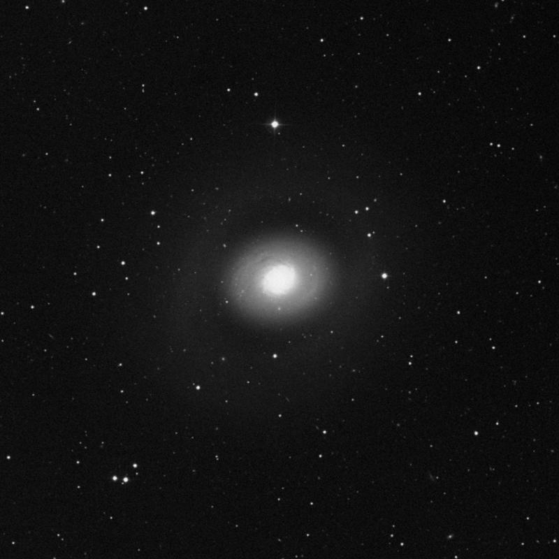 Image of Messier 94 (Croc's Eye Galaxy) - Intermediate Spiral Galaxy in Canes Venatici star