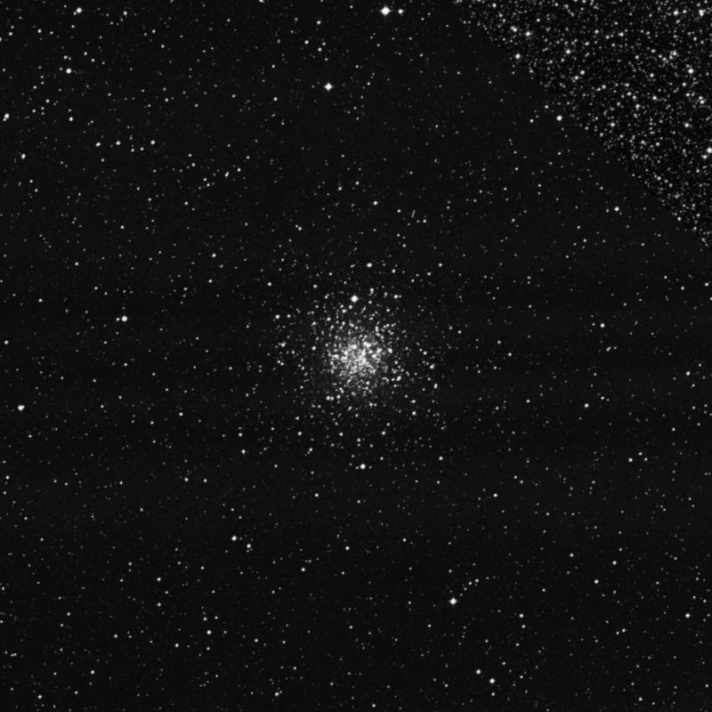 Image of NGC 4833 - Globular Cluster in Musca star