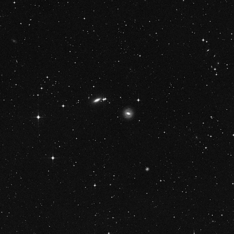 Image of NGC 4879 - Star in Virgo star