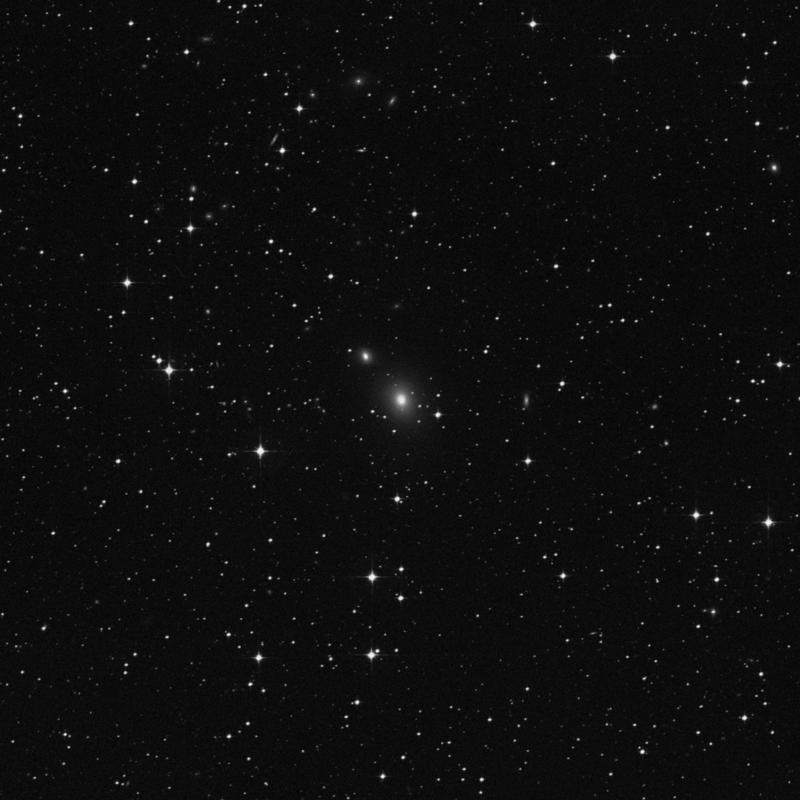 Image of NGC 4955 - Elliptical Galaxy in Hydra star