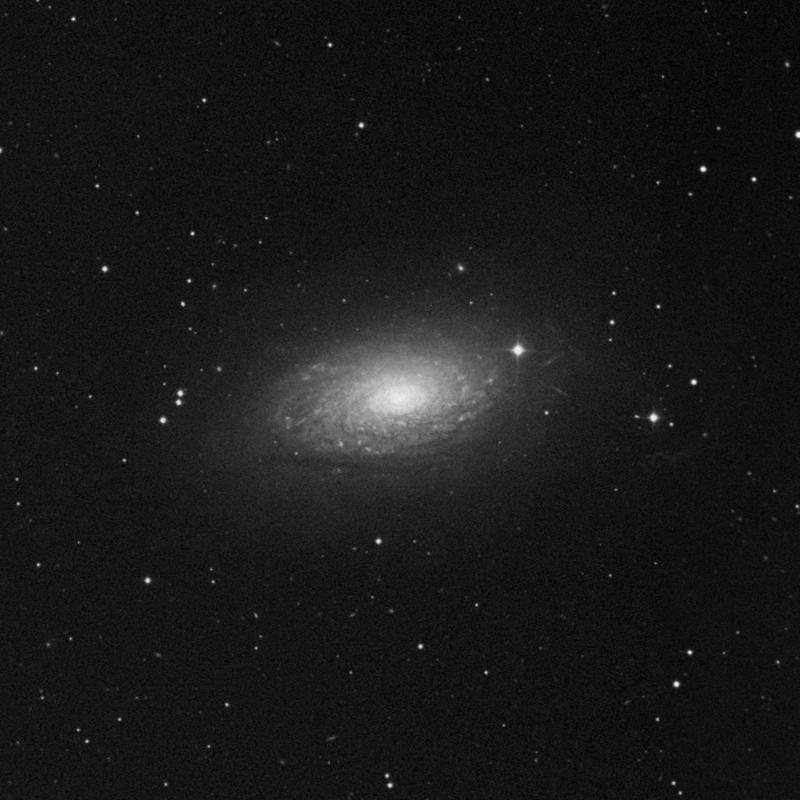 Image of Messier 63 (Sunflower Galaxy) - Spiral Galaxy in Canes Venatici star