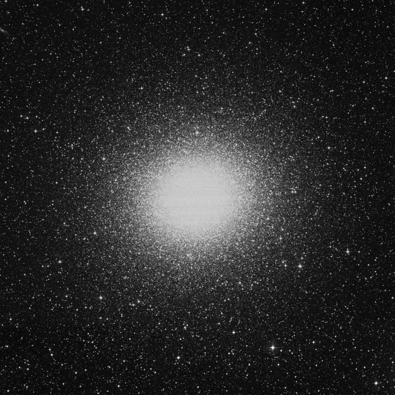 Image of NGC 5139 (Omega Centauri) - Globular Cluster in Centaurus star