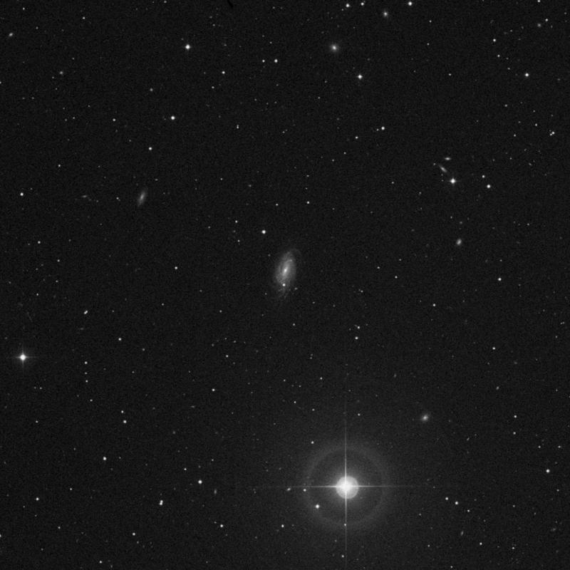 Image of NGC 5175 - Star in Virgo star