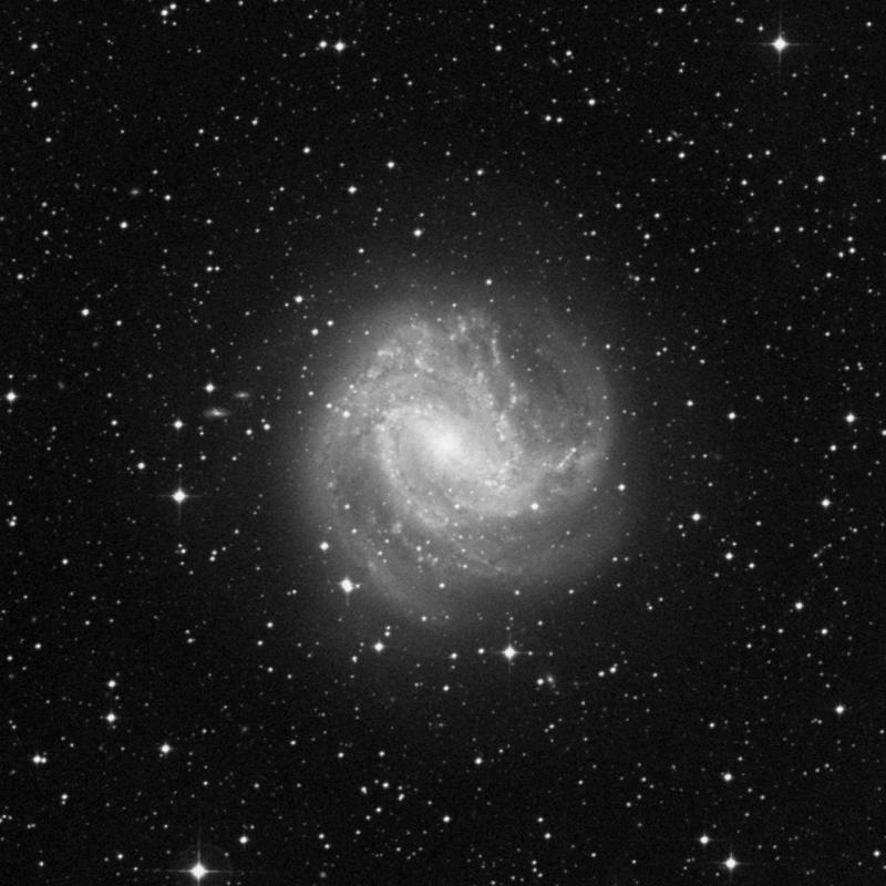 Image of Messier 83 (Southern Pinwheel Galaxy) - Spiral Galaxy in Hydra star