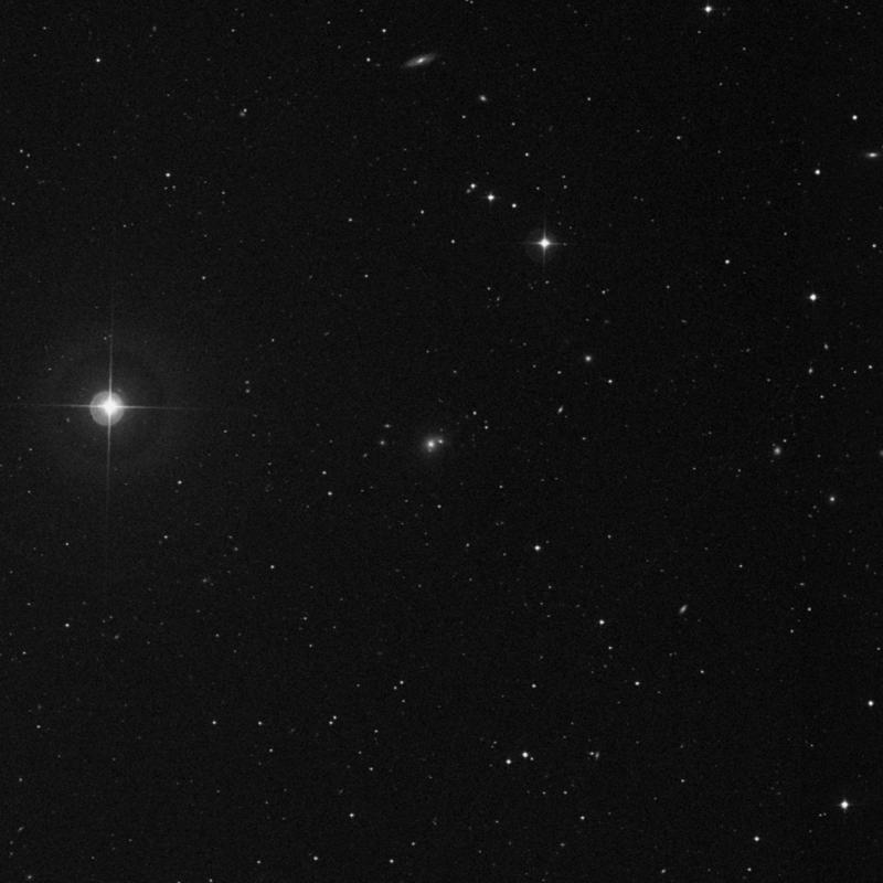 Image of NGC 5259 NED01 - Elliptical Galaxy in Canes Venatici star
