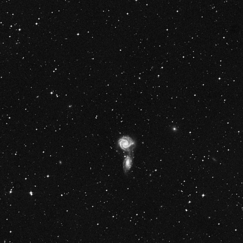 Image of NGC 5428 - Double Star in Virgo star