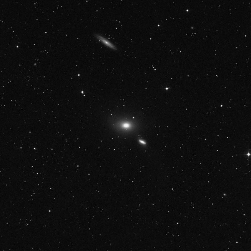 Image of NGC 5576 - Elliptical Galaxy in Virgo star