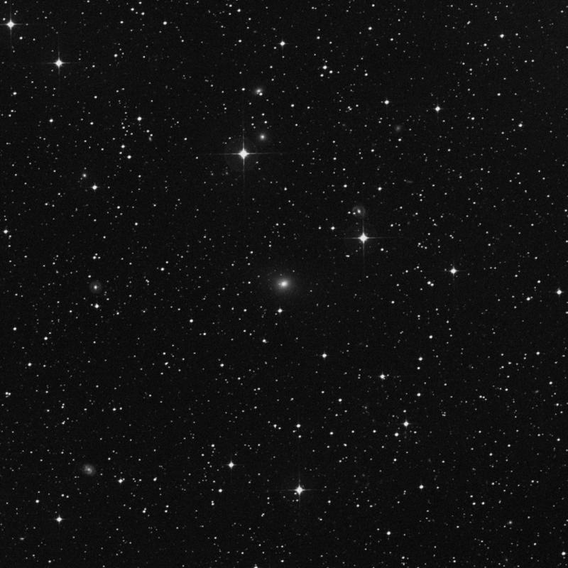 Image of NGC 5626 - Lenticular Galaxy in Hydra star