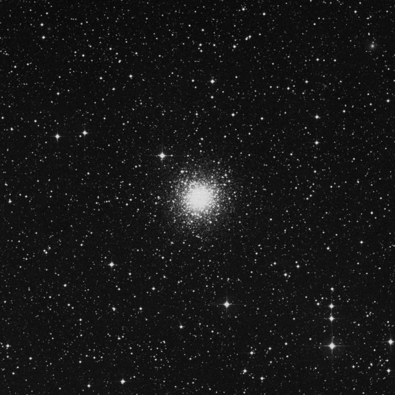 Image of Messier 80 - Globular Cluster in Scorpius star