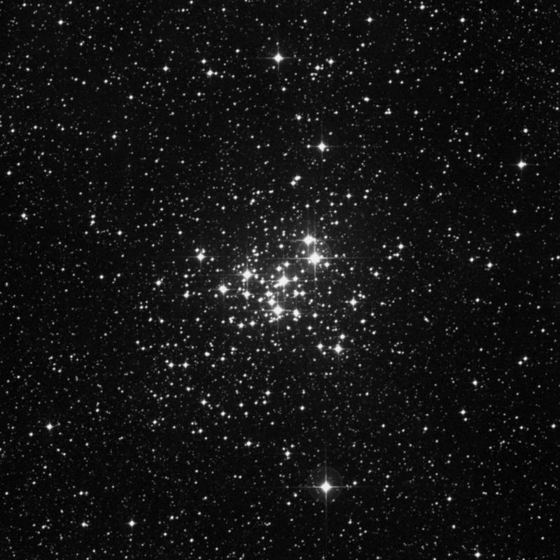 Image of NGC 6231 - Open Cluster in Scorpius star
