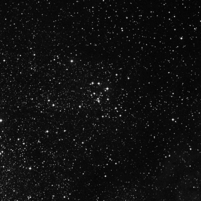 Image of Messier 18 (Black Swan) - Open Cluster in Sagittarius star