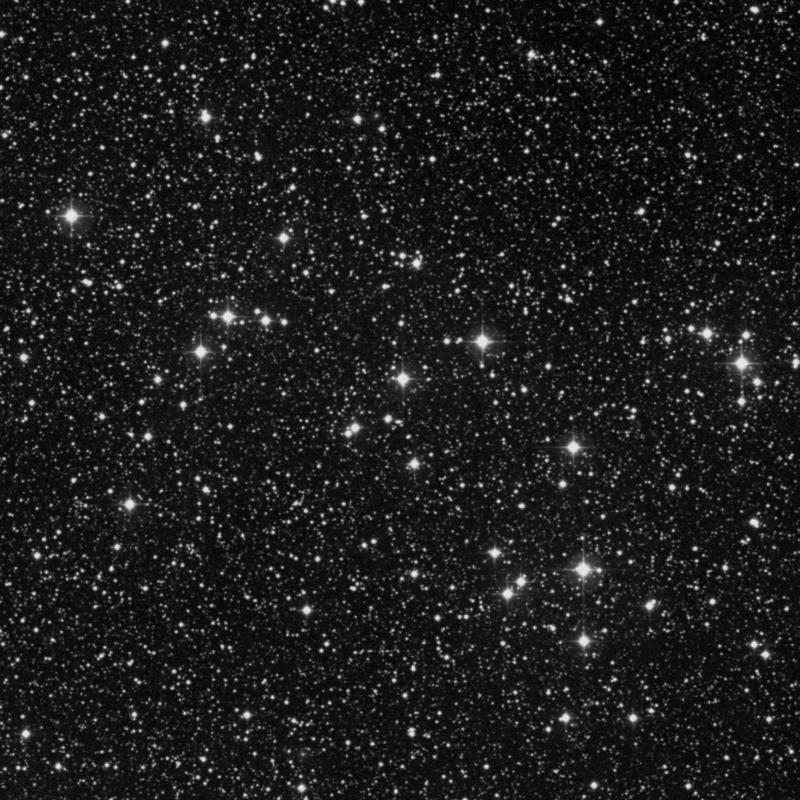 Image of NGC 6633 - Open Cluster in Ophiuchus star