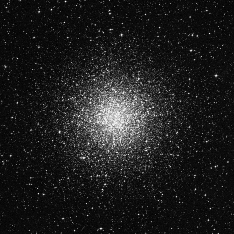 Image of Messier 55 - Globular Cluster in Sagittarius star