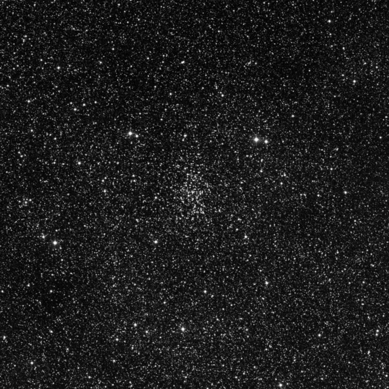 Image of NGC 6802 - Open Cluster in Vulpecula star