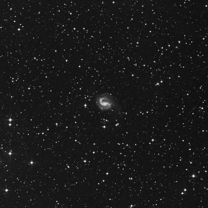 Image of NGC 6907 - Spiral Galaxy in Capricornus star