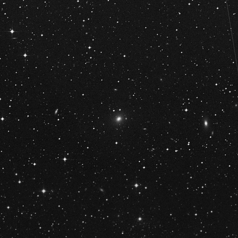 Image of NGC 7014 - Elliptical Galaxy in Indus star