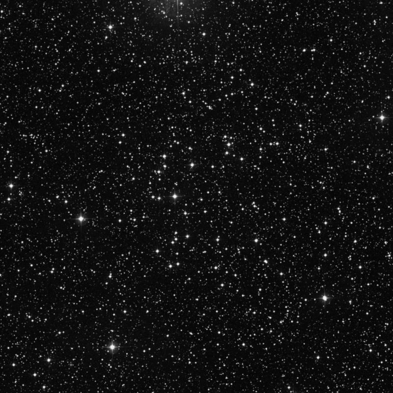 Image of NGC 7209 - Open Cluster in Lacerta star