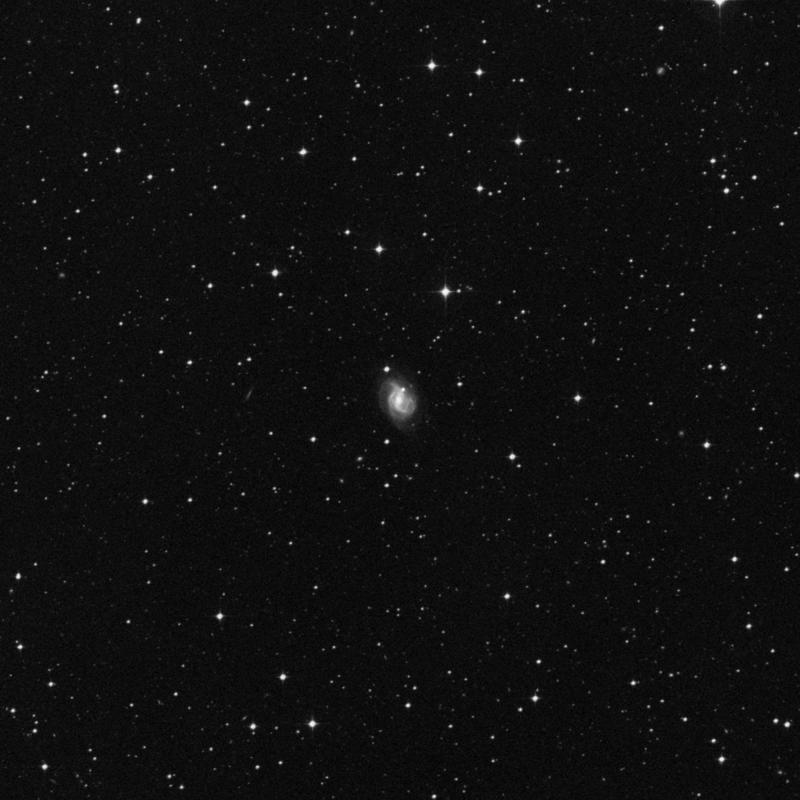 Image of NGC 7221 - Spiral Galaxy in Piscis Austrinus star