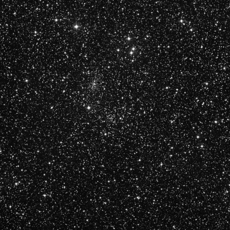 Image of NGC 7245 - Open Cluster in Lacerta star