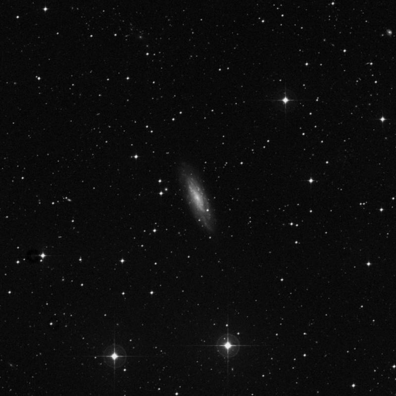 Image of NGC 7456 - Spiral Galaxy in Grus star