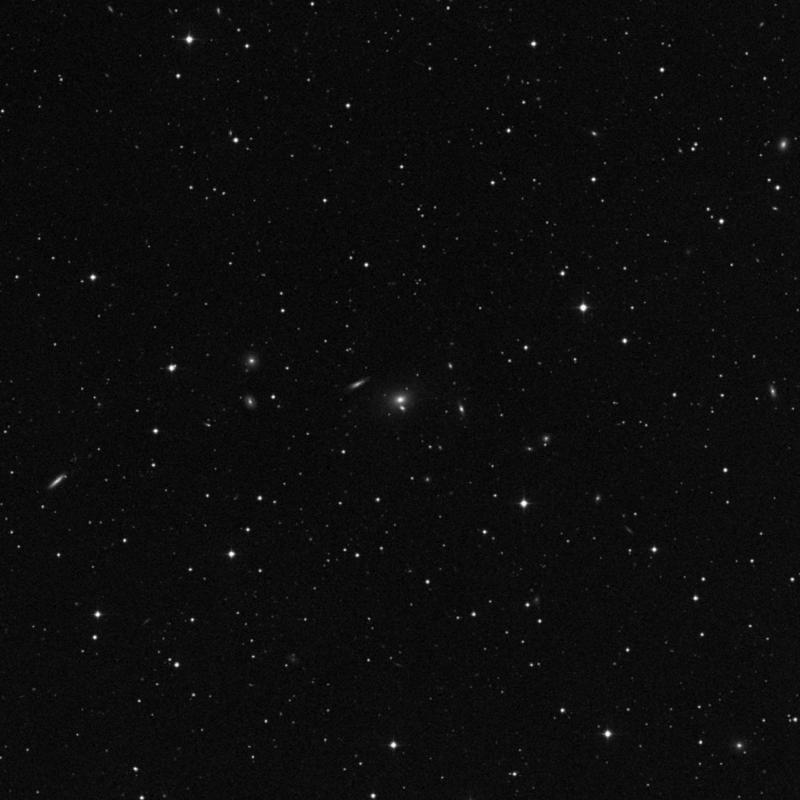 Image of NGC 7651 NED01 - Elliptical Galaxy in Pegasus star