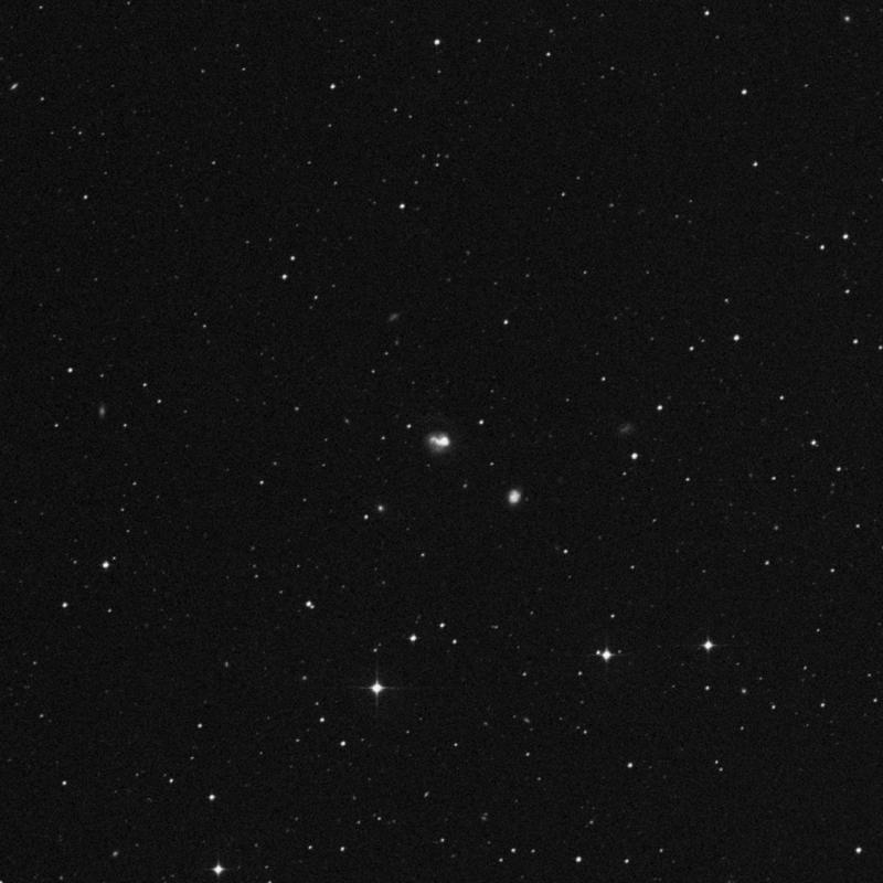 Image of IC 1623 - Galaxy Pair in Cetus star