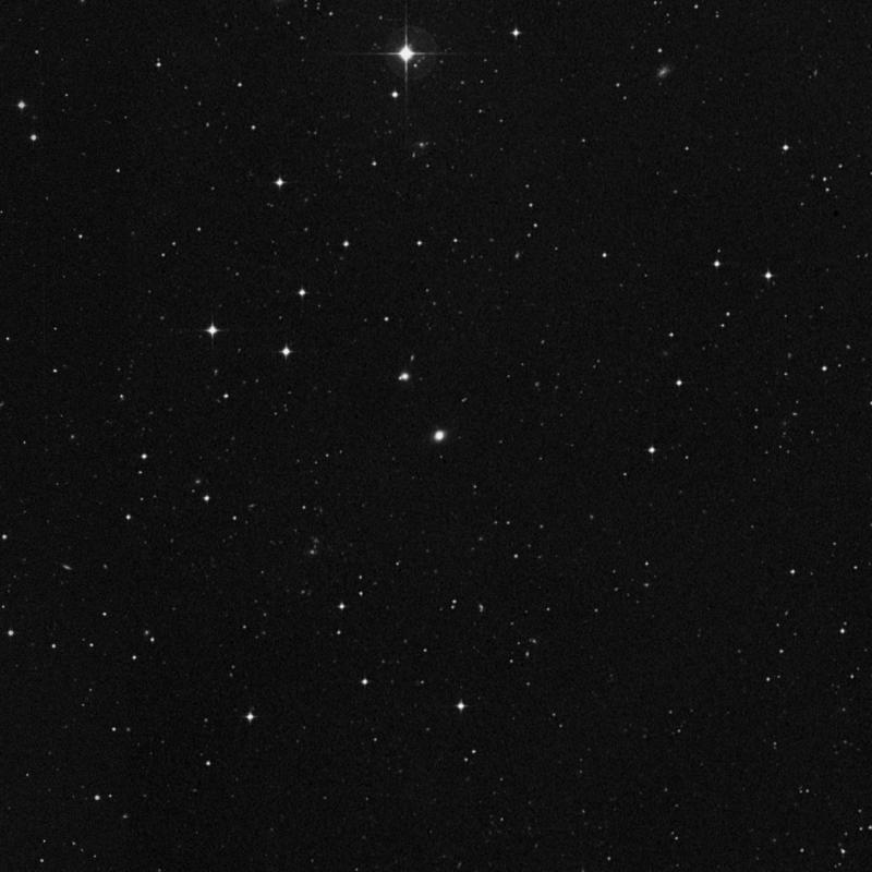 Image of IC 1639 - Elliptical Galaxy in Cetus star