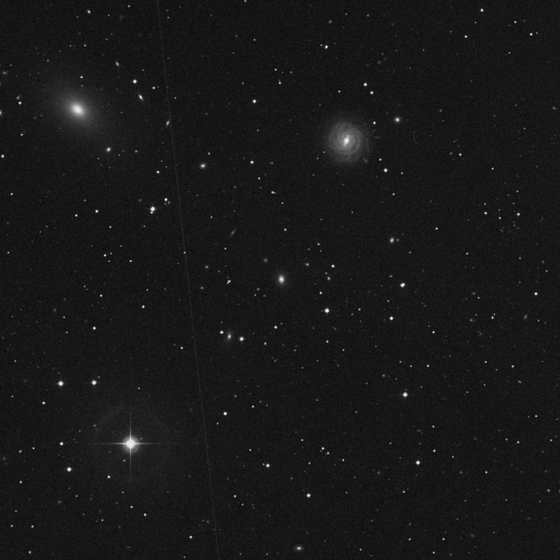 Image of IC 1694 - Elliptical Galaxy in Cetus star