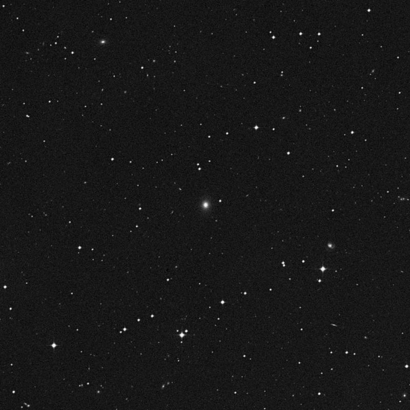 Image of IC 1705 - Elliptical Galaxy in Cetus star