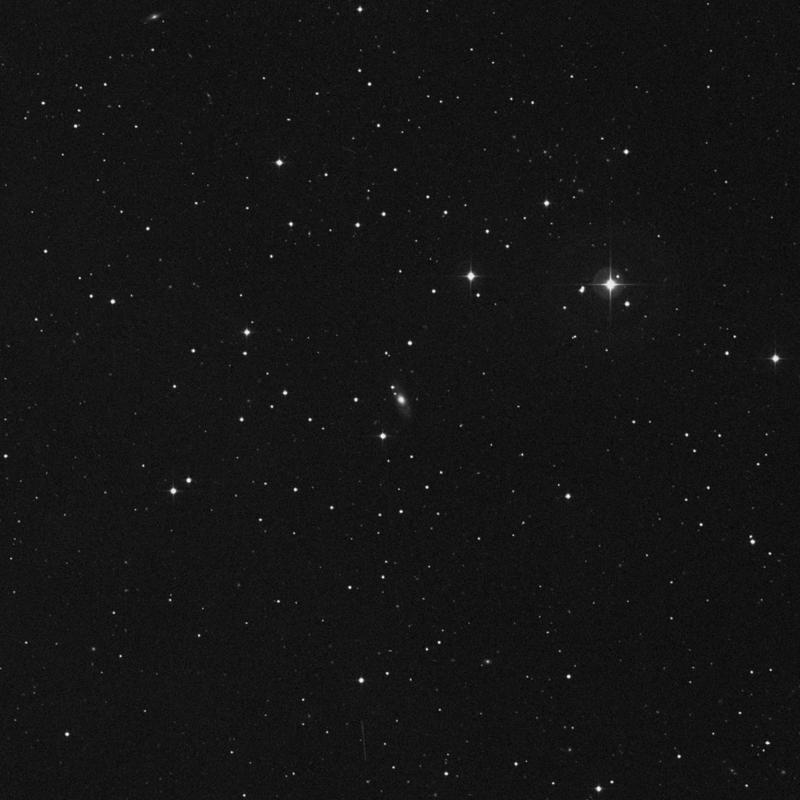 Image of IC 1819 - Elliptical Galaxy in Cetus star