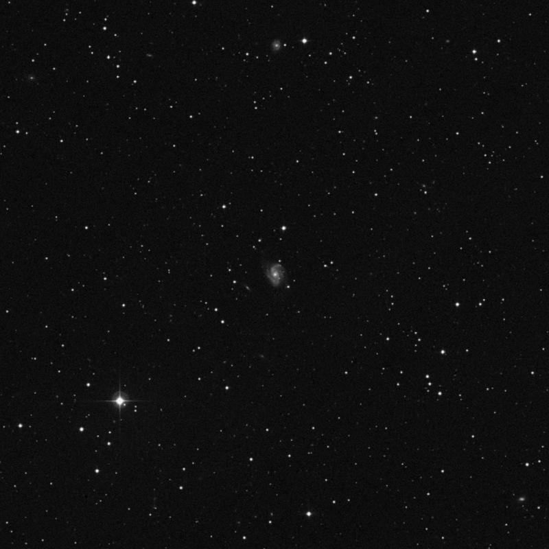 Image of IC 221 - Spiral Galaxy in Triangulum star