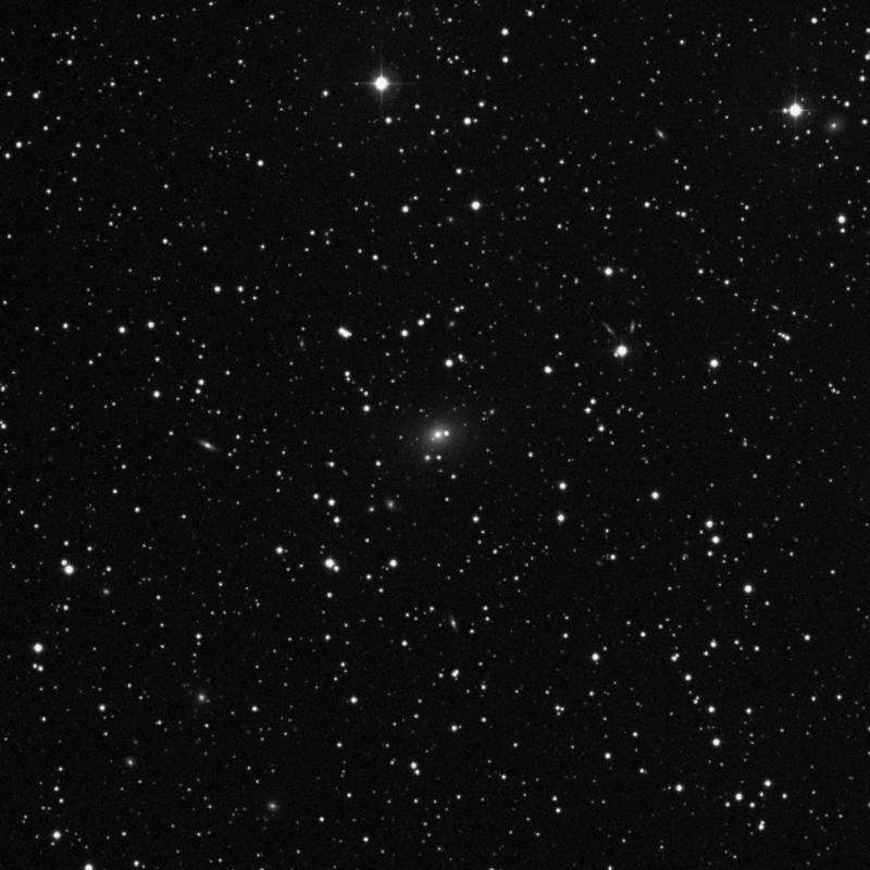 Image of IC 2231 - Elliptical Galaxy in Hydra star