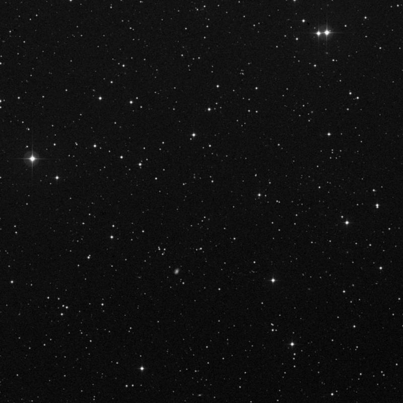 Image of IC 2287 - Star in Cancer star
