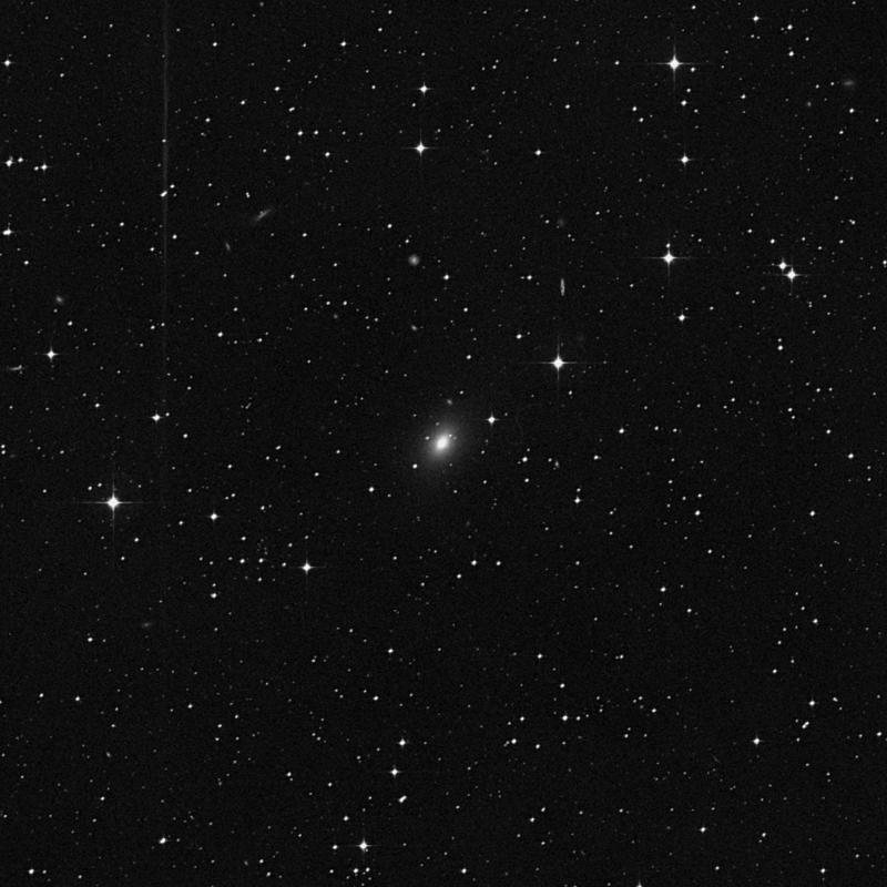 Image of IC 2482 - Elliptical Galaxy in Hydra star