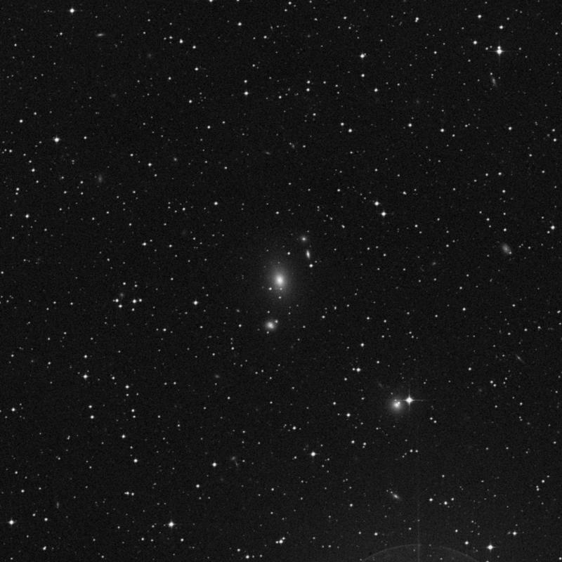Image of IC 2597 - Elliptical Galaxy in Hydra star