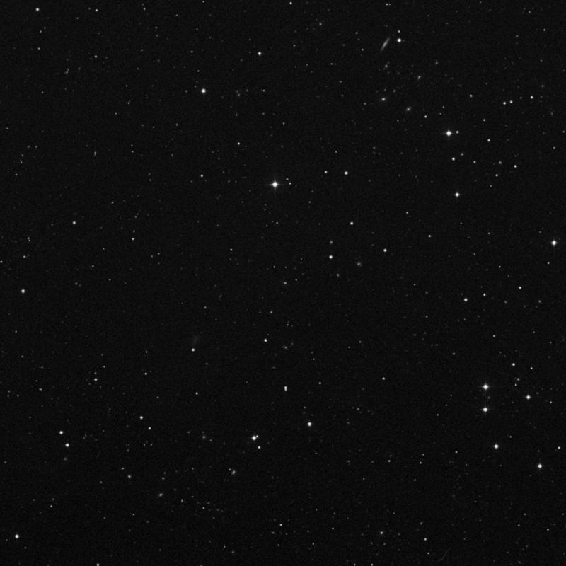 Image of IC 2775 - Elliptical Galaxy in Leo star