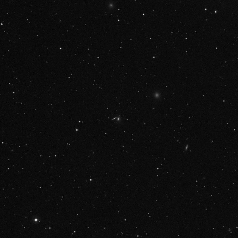 Image of IC 2785 - Elliptical Galaxy in Leo star