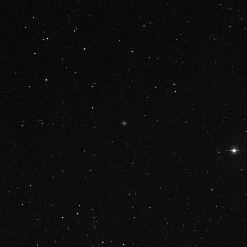 Image of IC 2871 - Intermediate Spiral Galaxy in Leo star