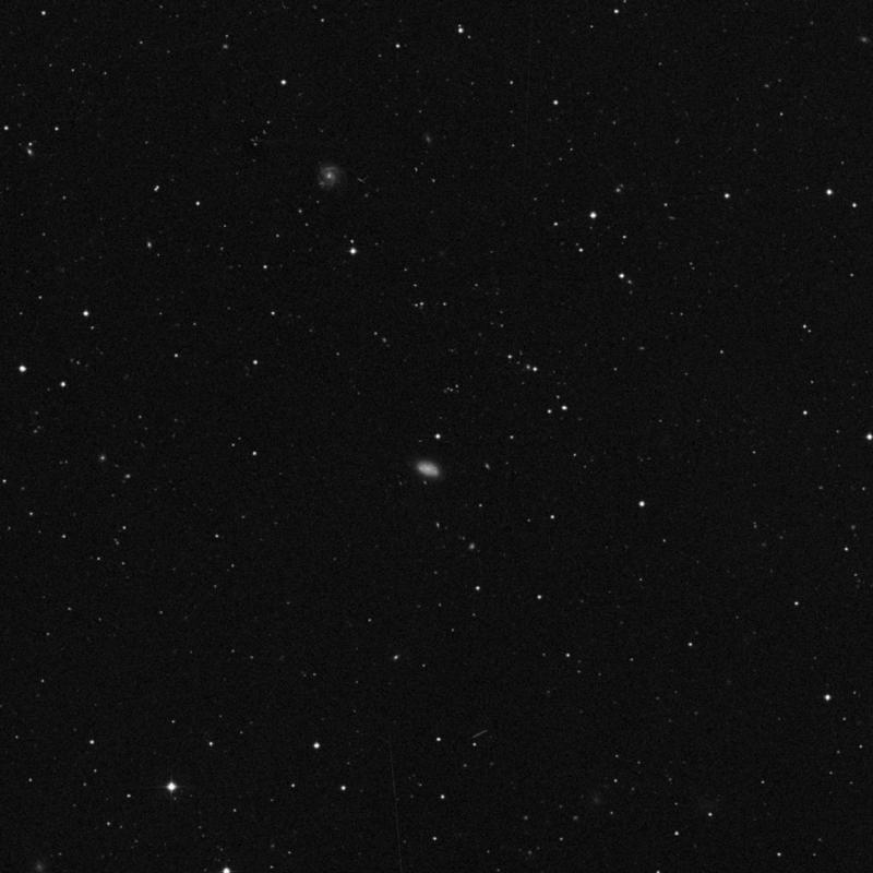 Image of IC 3265 - Star in Virgo star