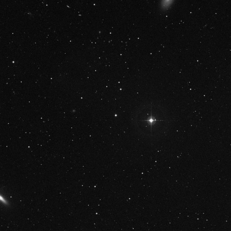 Image of IC 3318 - Star in Virgo star