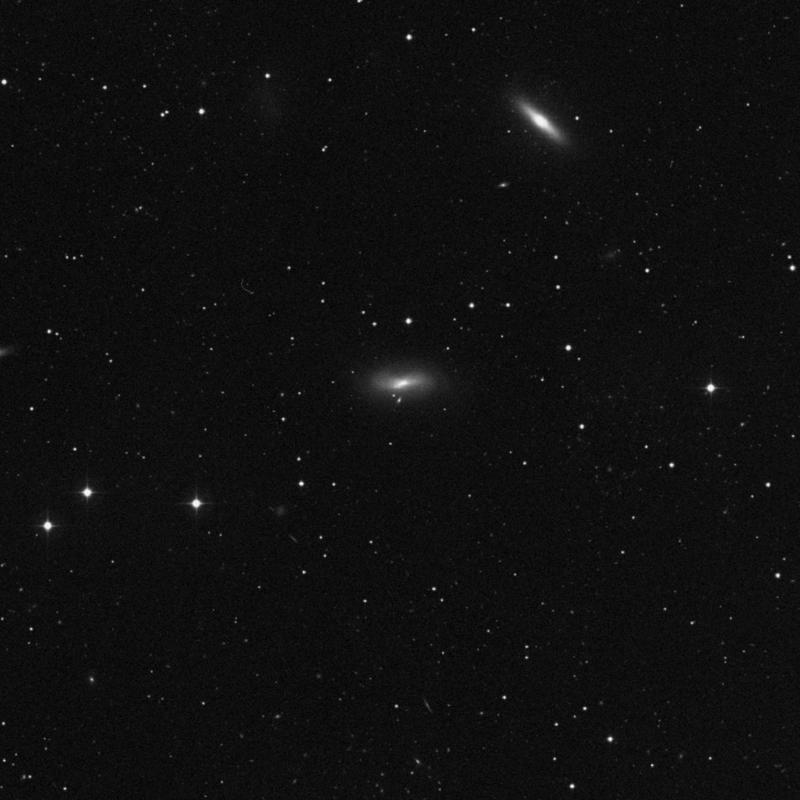Image of IC 3366 - Elliptical Galaxy in Virgo star