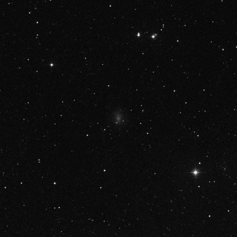 Image of IC 3687 - Irregular Galaxy in Canes Venatici star