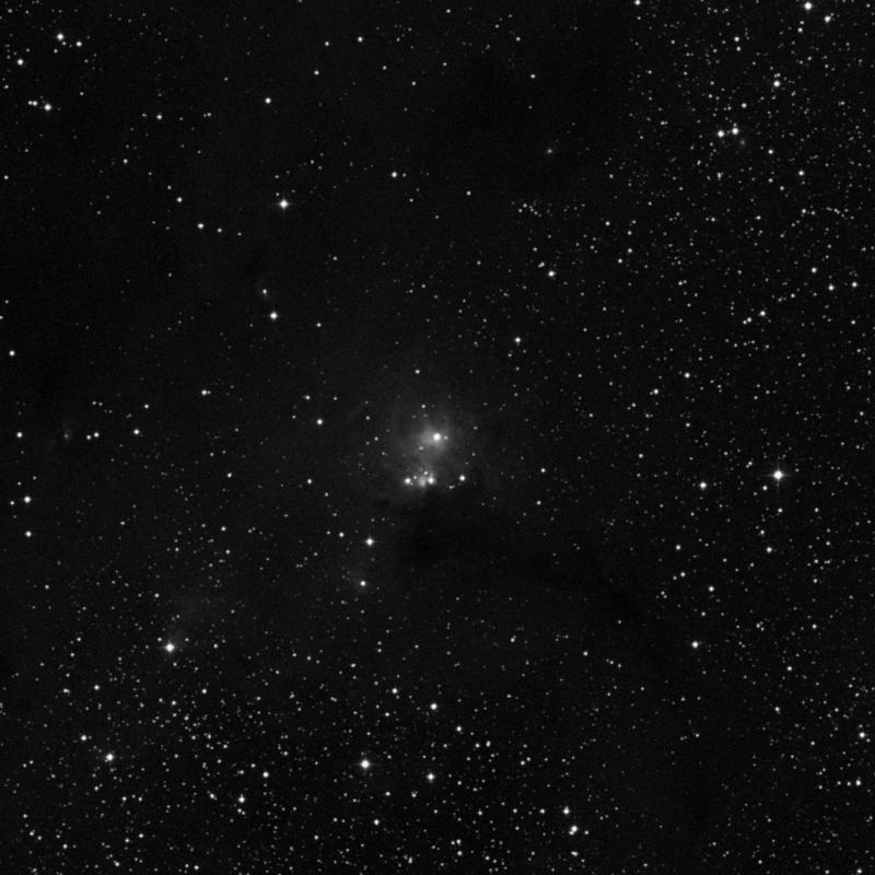Image of IC 446 - Star Cluster + Nebula in Monoceros star