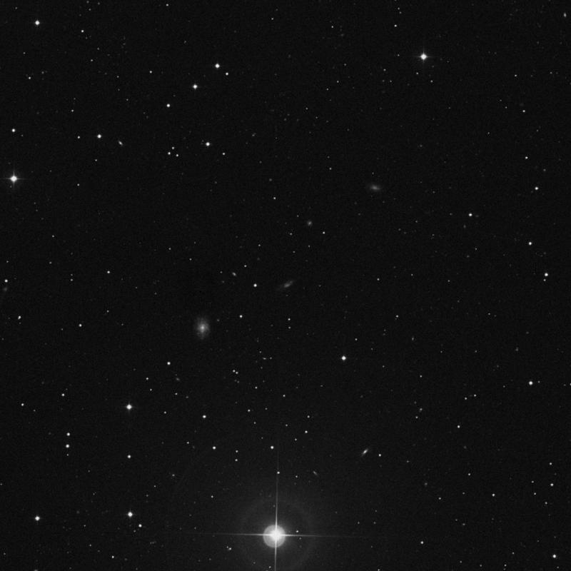 Image of IC 4178 - Irregular Galaxy in Canes Venatici star
